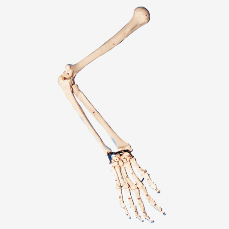 ֱ۹ǡιiģ